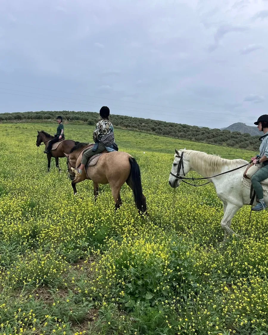 Horseback riding in the fields